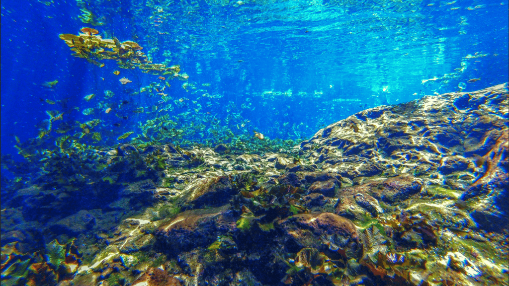 mexico senote underwater