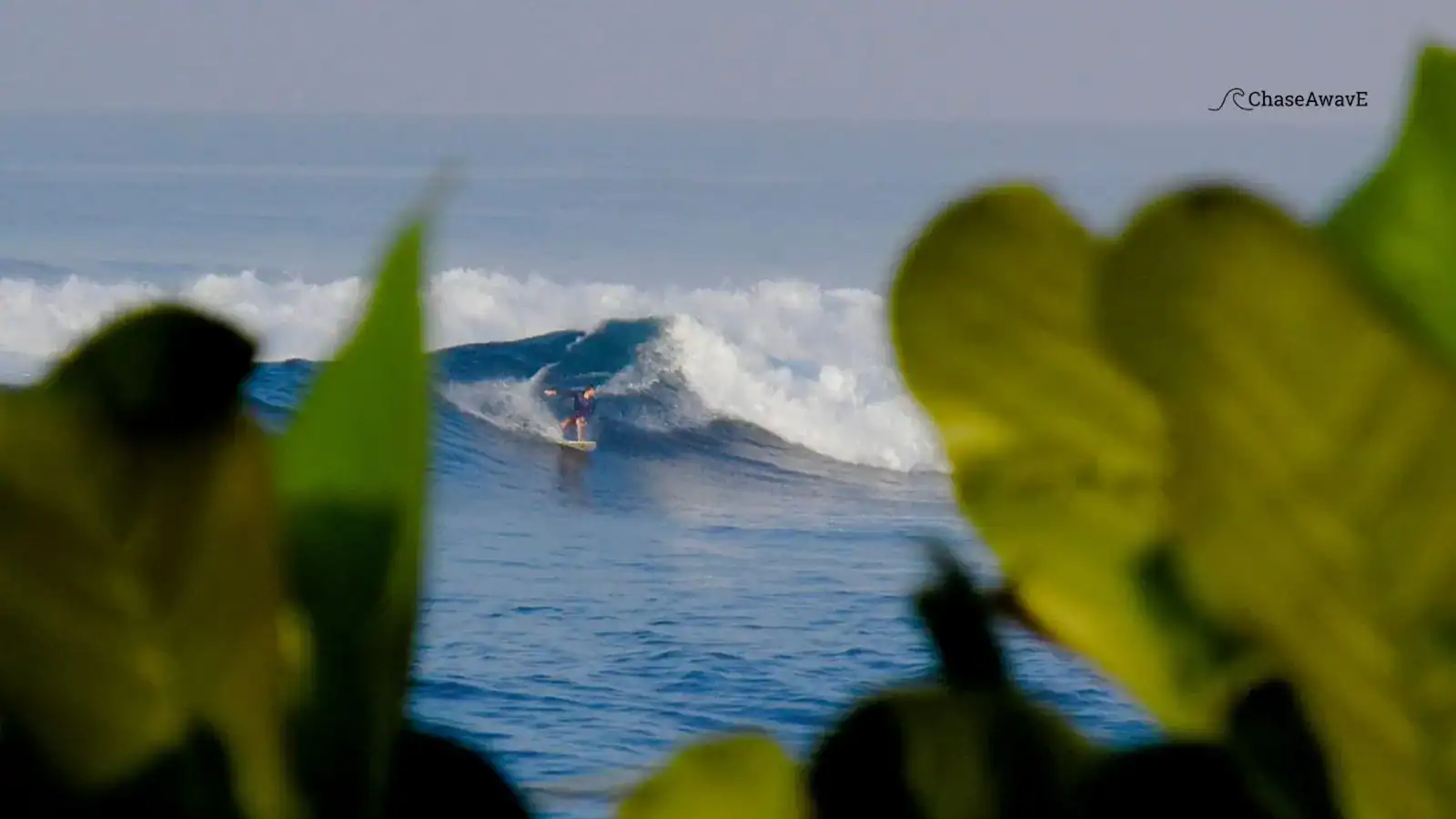 Drowning Experince While Surfing