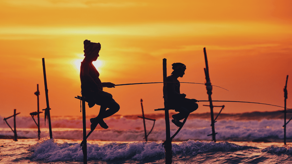 surfing in sri lanka in january