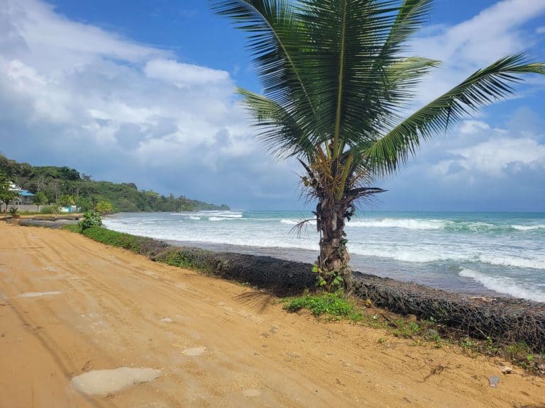 Surfing in bocas del toro