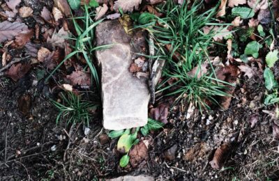 Stone and grass growing in soil, natural outdoor environment.