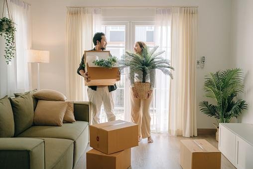 Ambiente com plantas que promovem saúde mental