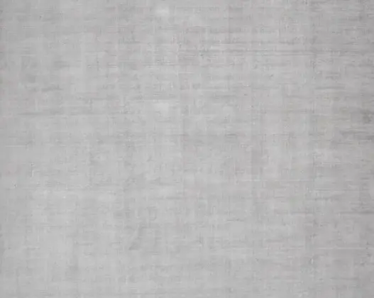 Finnian - DHW-SL-05 Vinyl plank flooring with light gray wood texture for modern home interior design aesthetic.