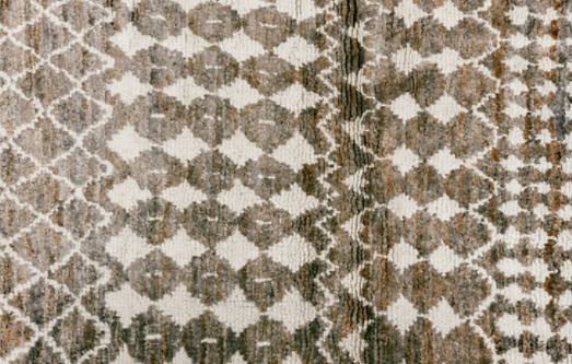 Intricate patterned area rug with neutral tones for stylish home interior decor.