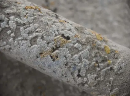 Cracked concrete surface showing weathered texture and natural wear.