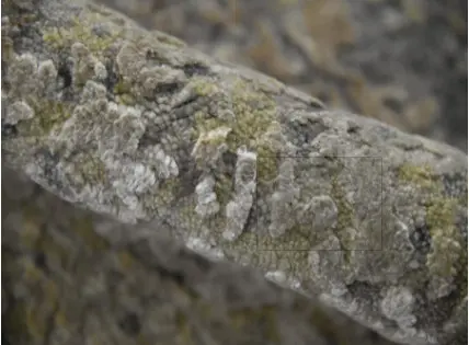 Lyra - MYM-8_D Crefloors-vail-limestone-floor-venture-technology-tiles.