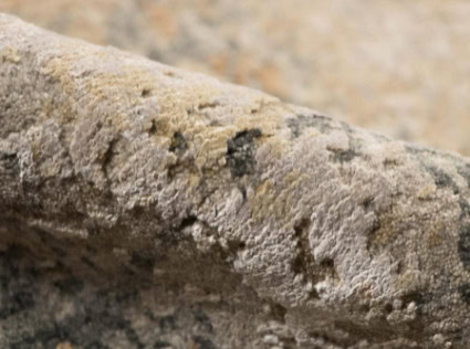 Textured concrete surface for durable flooring solutions.