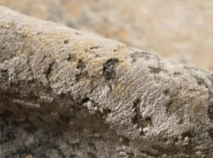 Textured concrete surface for durable flooring solutions.