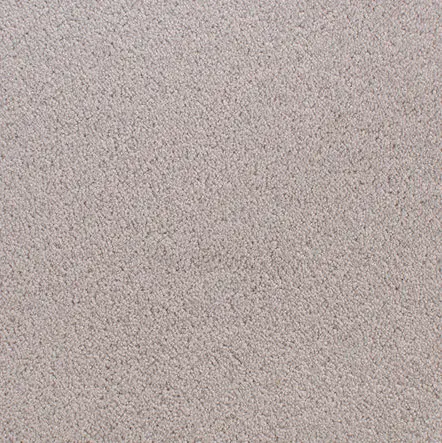 Accolade - Alaskan Cream textured carpet flooring for residential and commercial spaces.