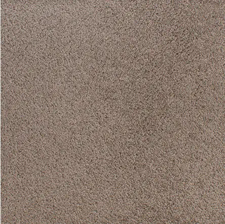 Accolade - Almond Mist Soft beige carpet flooring for home interior decoration and comfort.