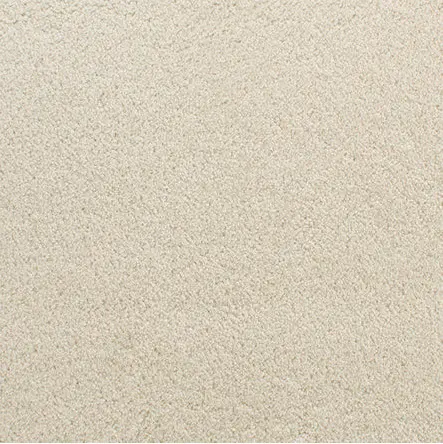 Accolade - Barely Green Cream-colored textured flooring surface showcasing high-quality flooring solutions.