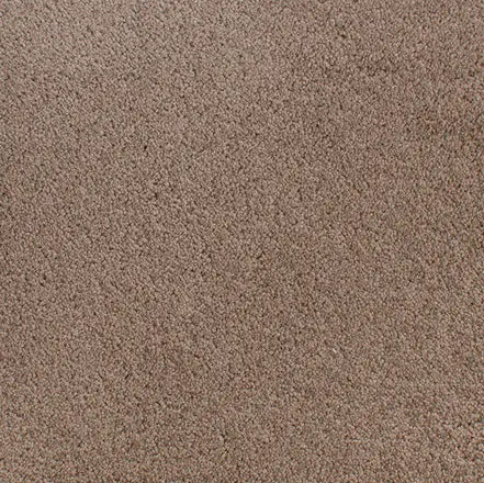 Accolade - Bravado Soft brown carpet flooring with textured surface for residential and commercial spaces.