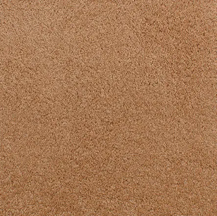 Accolade - Buckeye Soft beige carpet flooring for residential and commercial spaces.