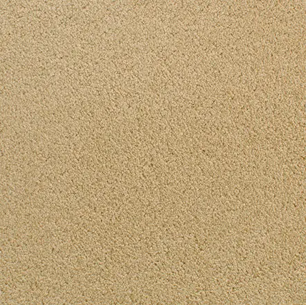 Accolade - Byzantine Soft beige textured carpet for warm and inviting interior flooring solutions.