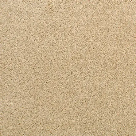 Accolade - Cairo Gold Cream textured carpet close-up for residential and commercial flooring solutions.