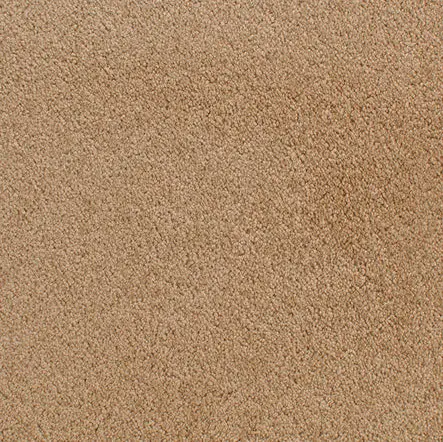 Accolade - Cognac Cream-colored carpet flooring with plush texture for interior design.
