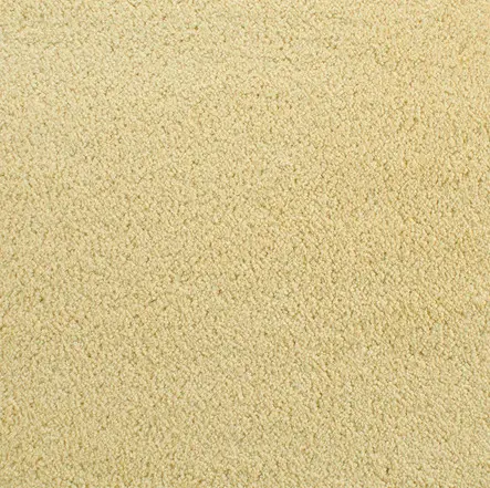 Accolade - Day Lily Cream textured carpet flooring with plush, soft surface in a modern interior setting.