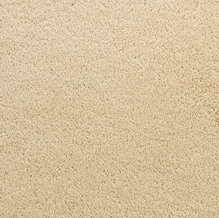 Accolade - Dry Chamois Cream-colored textured carpet flooring for residential and commercial spaces.