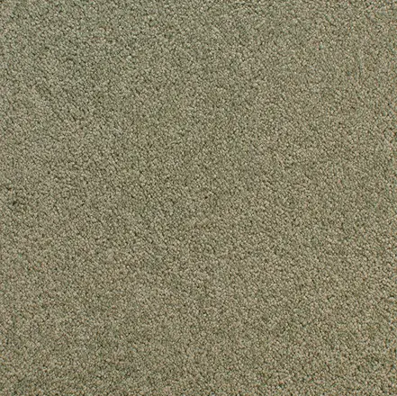 Accolade - Fir Soft beige carpet flooring with plush texture, ideal for residential and commercial interior design.