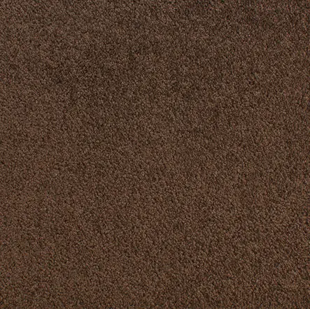 Accolade - Fossil Durable brown carpet flooring for residential and commercial spaces.