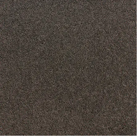 Accolade - Ground Coffee Smooth brown carpet flooring for residential and commercial spaces.