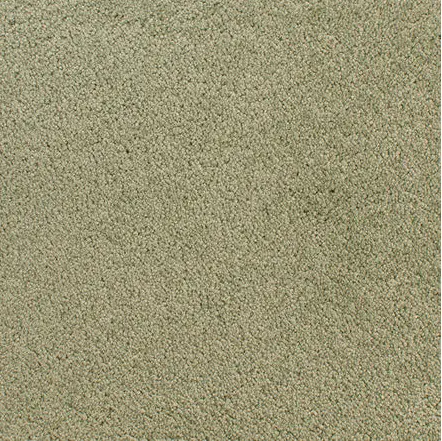 Accolade - Hanging Garden Soft beige carpet flooring for residential and commercial spaces, expert installation by Creative Floors.