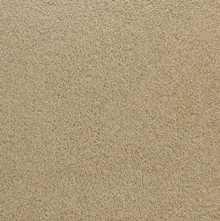 Accolade - Historic Soft beige carpet flooring for residential and commercial spaces.