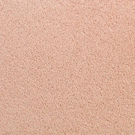 Accolade - In Bloom Soft peach-colored carpet with a plush, textured surface ideal for residential and commercial flooring.