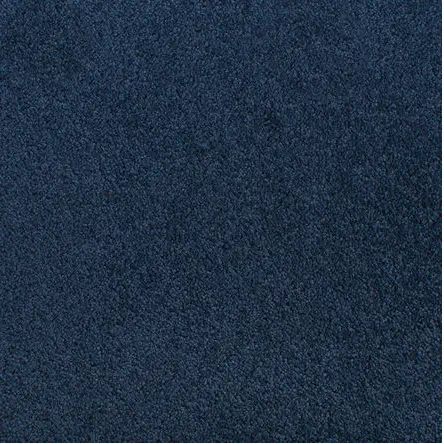 Accolade - Marine Dark blue carpet flooring with textured finish, ideal for residential and commercial use.