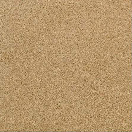 Accolade - Megellan Beige carpet flooring in a residential space for comfort and style.