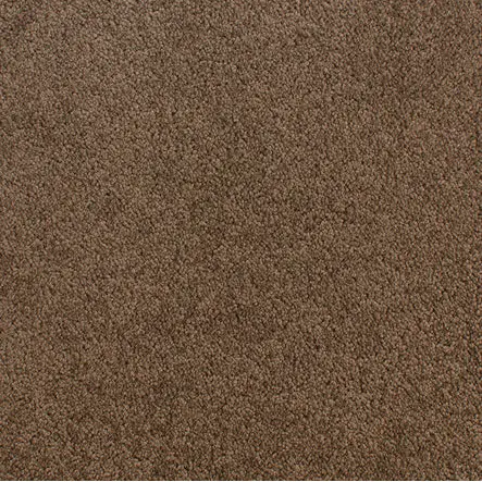 Accolade - Mink Maze Rich brown carpet flooring with durable, high-quality texture for residential and commercial spaces.