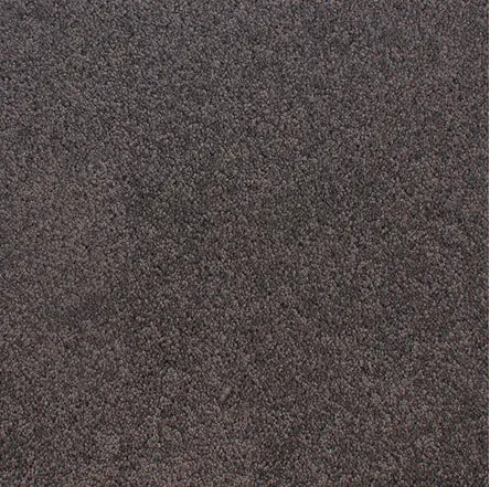 Accolade - Museum Textured brown carpet flooring in a modern interior space.