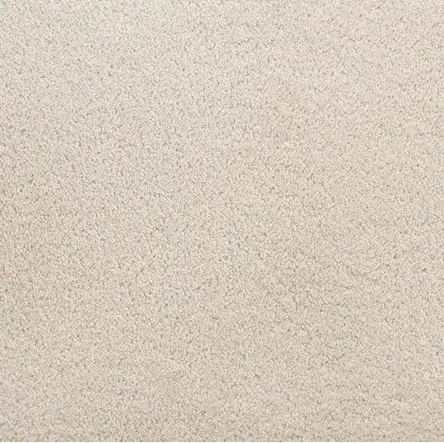 Accolade - Naturelle Cream textured carpet flooring for interior design and home renovation projects.