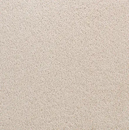 Accolade - New Putty Cream textured carpet flooring in a home interior.