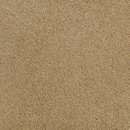 Accolade - Ovation Soft beige carpet flooring for home and commercial spaces, high-quality and durable.