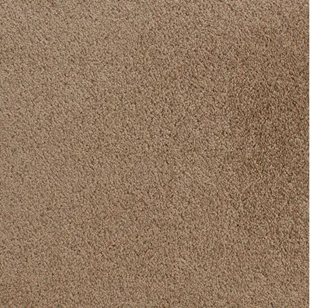 Accolade - Pretzel Beige carpet flooring close-up, soft textured carpet for residential and commercial spaces.