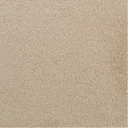 Accolade - Quincy Cream-colored carpet flooring with plush texture for home and commercial spaces.