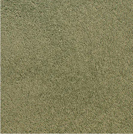 Accolade - Rain Forest Soft green carpet flooring showcasing plush texture for residential or commercial spaces.
