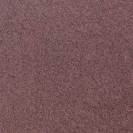Accolade - Serenade Soft burgundy carpet flooring for home and office renovations.