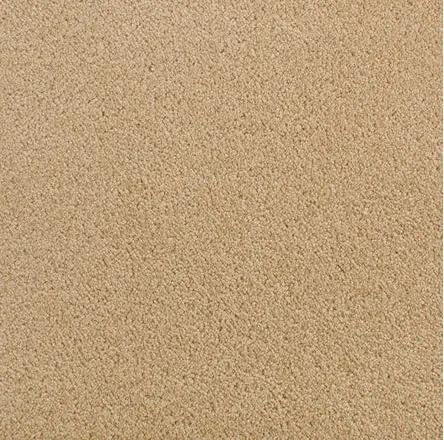 Accolade - Spiced Curry Beige carpet flooring sample for home and commercial spaces.