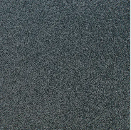 Accolade - Swiss Textured dark grey carpet flooring with durable, high-quality material for residential and commercial use.