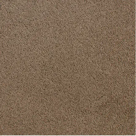 Accolade - Toffee Brown carpet flooring with a plush texture for home or commercial spaces.