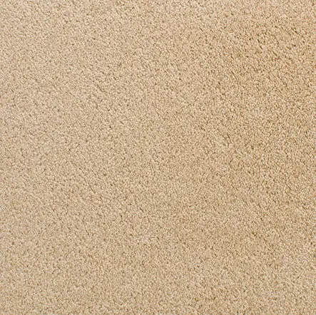 Accolade - Warm Toast Soft beige carpet flooring for residential or commercial spaces.