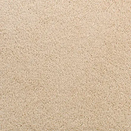 Accolade - Wheat Straw Soft beige carpet flooring in a residential living space.