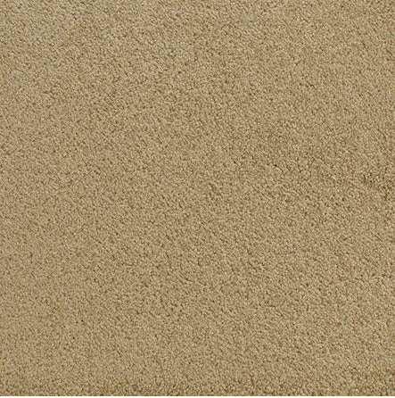 Accolade - Willow Wood Beige carpet flooring with plush texture and durable surface.