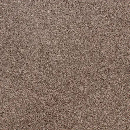 Accolade - Wood Smoke Textured brown carpet flooring with durable surface for residential and commercial spaces.