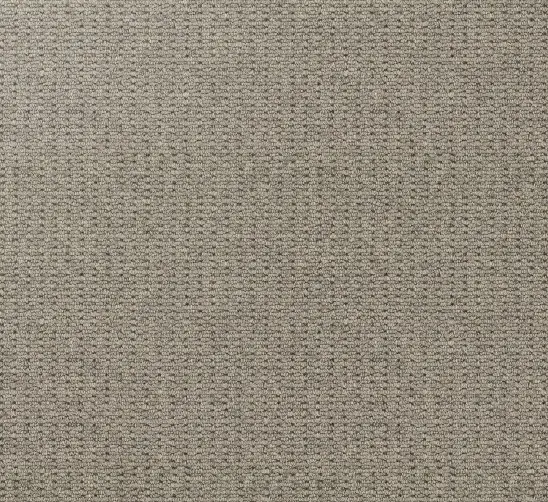 Soft beige textured carpet flooring with subtle pattern for residential or commercial spaces.