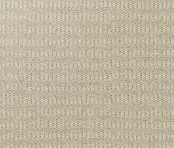 Soft beige carpet with subtle textured pattern for stylish floor design.
