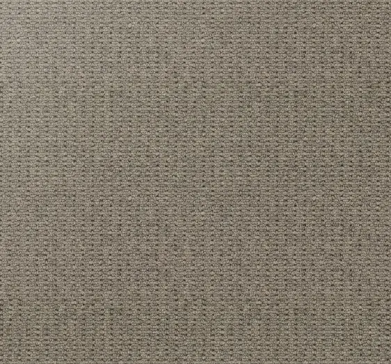 Soft beige commercial carpet with textured pattern for businesses and offices.
