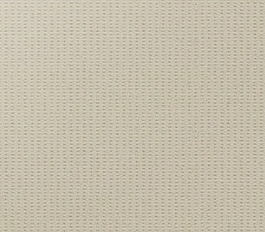Cream textured carpet sample for residential or commercial flooring projects.